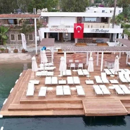 Turkbuku Luxury فيلة *